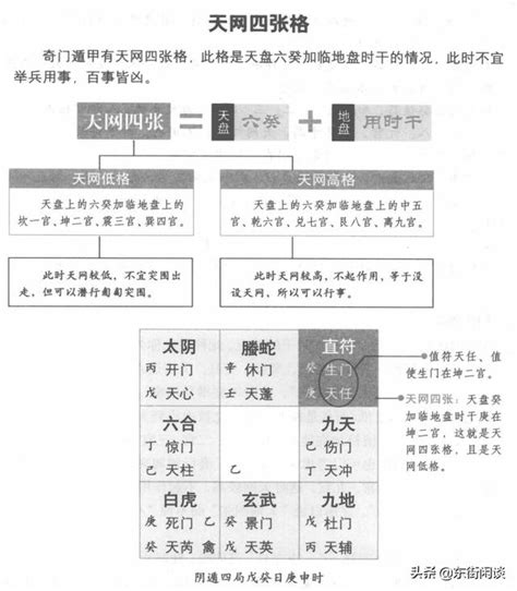 天網四張|天網四張格研究